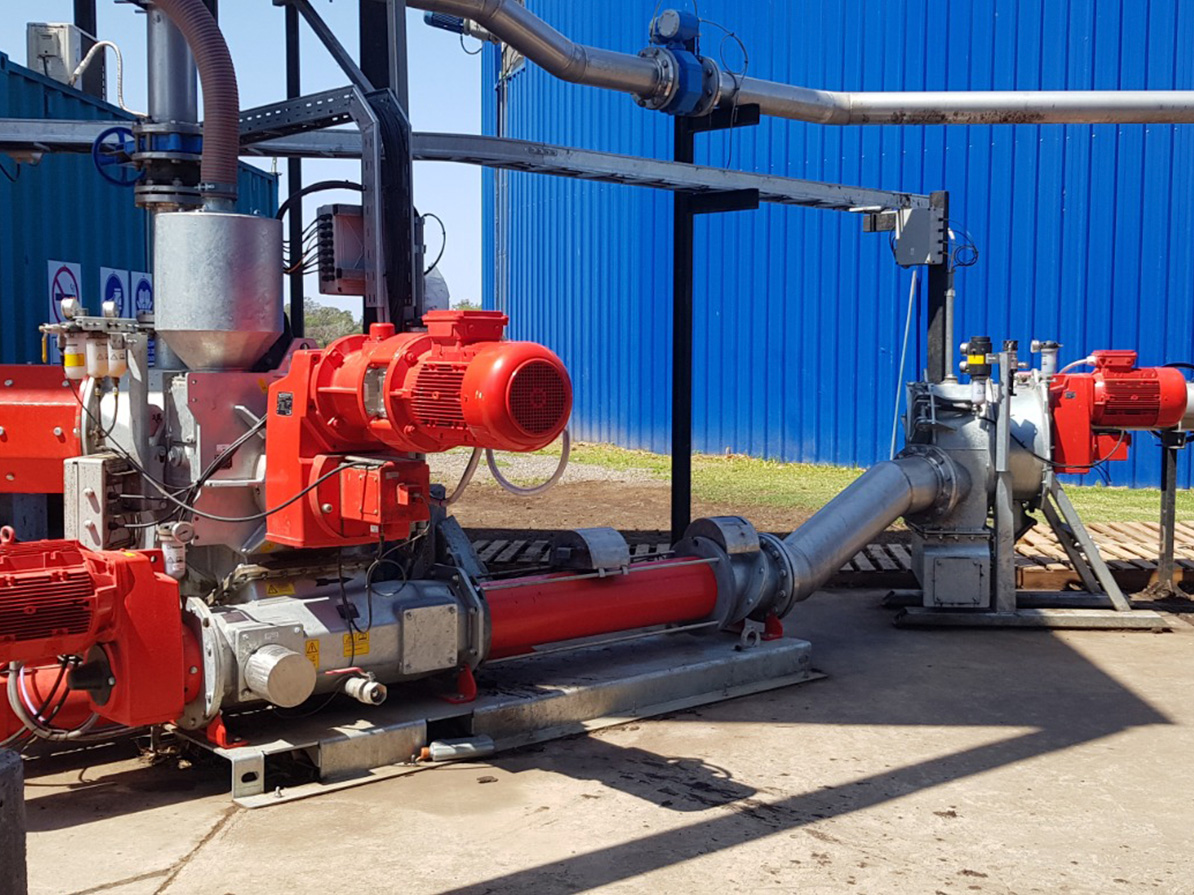Planta