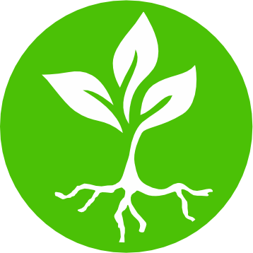 Seeds Energy Group